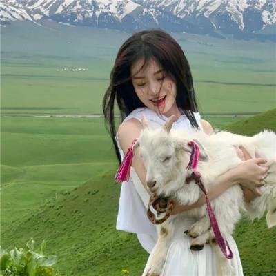 不死者之王 剧场版后篇 漆黑的英雄